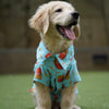 Fries Over Guys Shirt | Blue | For Dogs | Pawgy Pets