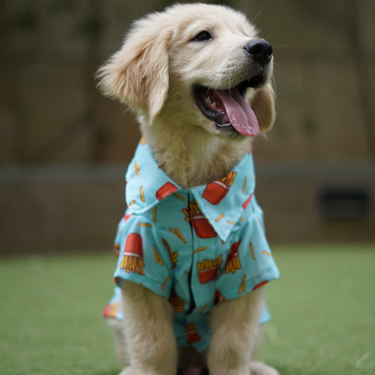 Pawgy Pets Fries over guys Shirt Blue for Dogs