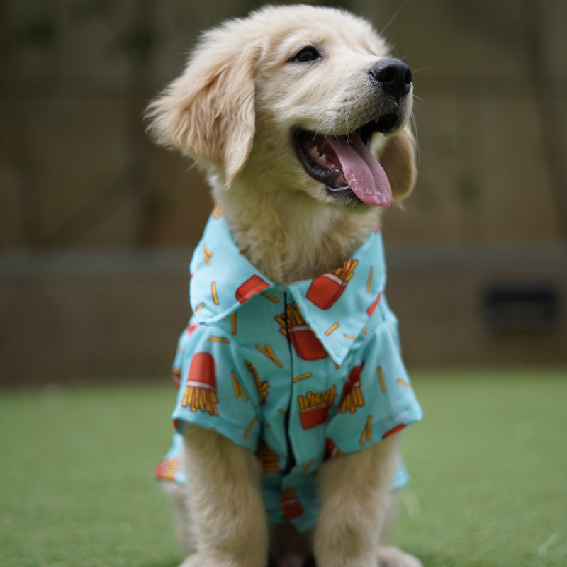 Fries Over Guys Shirt | Blue | For Dogs | Pawgy Pets