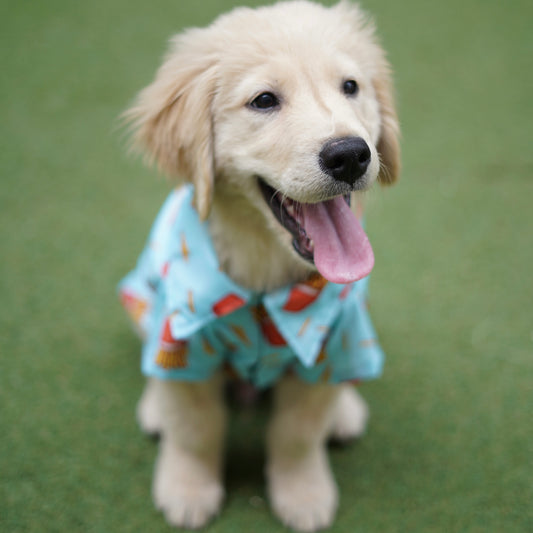 Pawgy Pets Fries over guys Shirt Blue for Dogs