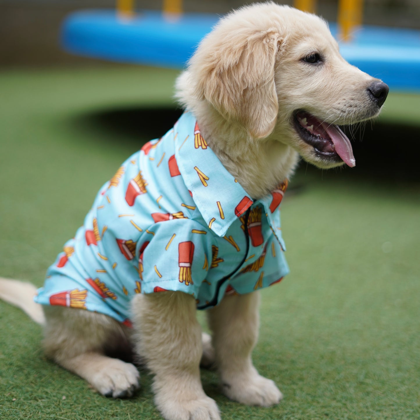 Fries Over Guys Shirt | Blue | For Dogs | Pawgy Pets