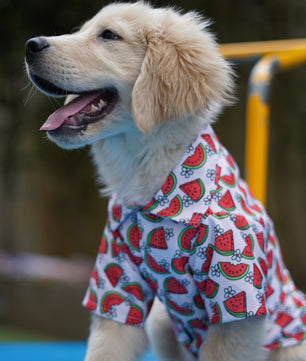 Pawgy Pets Daisy Melon Shirt Pink for Dogs