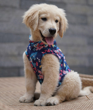 Pawgy Pets Hawaiian Flamingo sando navy blue for Dogs