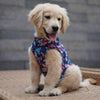 Hawaiian Flamingo Sando | Navy Blue | For Dogs | Pawgy Pets