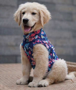 Pawgy Pets Hawaiian Flamingo sando navy blue for Dogs