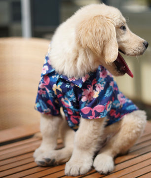 Pawgy Pets Hawaiian Flamingo shirt navy blue for Dogs