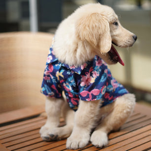 Pawgy Pets Hawaiian Flamingo shirt navy blue for Dogs