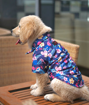 Pawgy Pets Hawaiian Flamingo shirt navy blue for Dogs