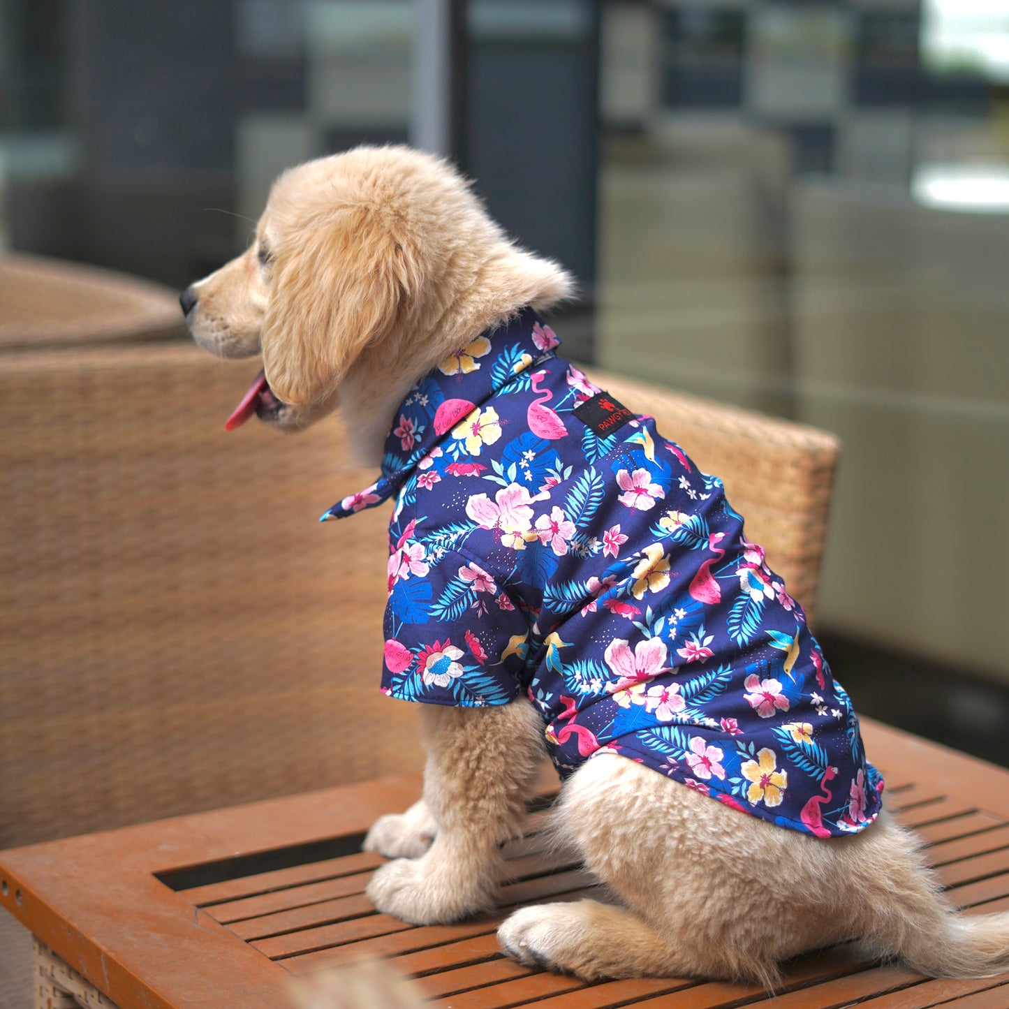 Pawgy Pets Hawaiian Flamingo shirt navy blue for Dogs