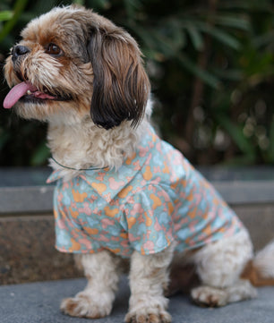 Pawgy Pets Mickey Overloaded Shirt Pastel Green for Dogs