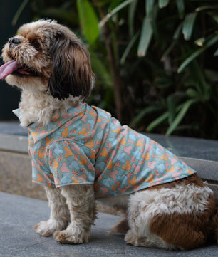 Pawgy Pets Mickey Overloaded Shirt Pastel Green for Dogs