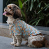 Mickey Overloaded Shirt | Pastel Green | For Dogs | Pawgy Pets