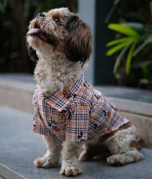 Pawgy Pets Mickey Check Shirt Beige for Dogs