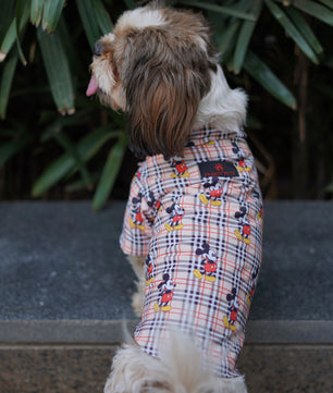 Pawgy Pets Mickey Check Shirt Beige for Dogs