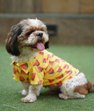 Pawgy Pets Watermelon sugar shirt Yellow for Dogs