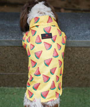 Pawgy Pets Watermelon sugar shirt Yellow for Dogs