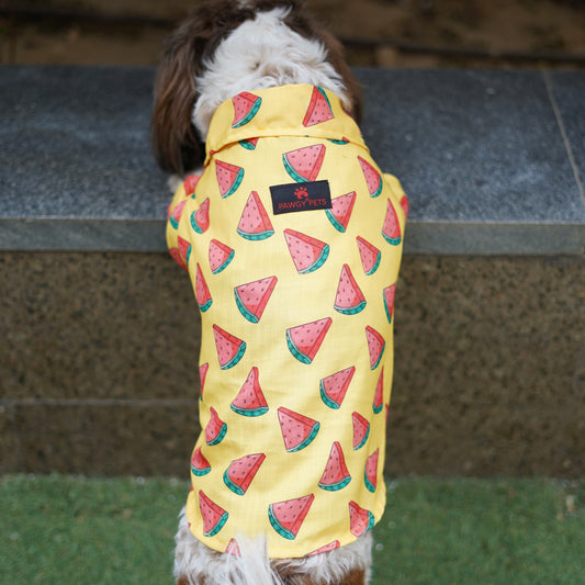 Pawgy Pets Watermelon sugar shirt Yellow for Dogs