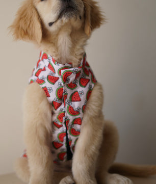 Pawgy Pets Daisy Melon Sando Pink for Dogs