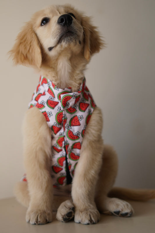 Pawgy Pets Daisy Melon Sando Pink for Dogs