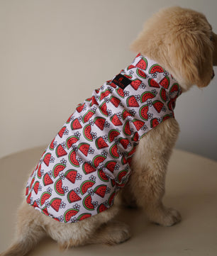Pawgy Pets Daisy Melon Sando Pink for Dogs