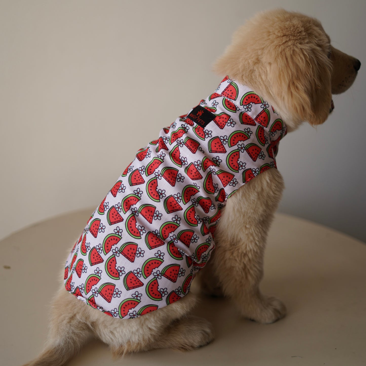Daisy Melon Sando | Pink | For Dogs | Pawgy Pets