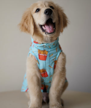Pawgy Pets Fries over guys Sando Blue  for Dogs