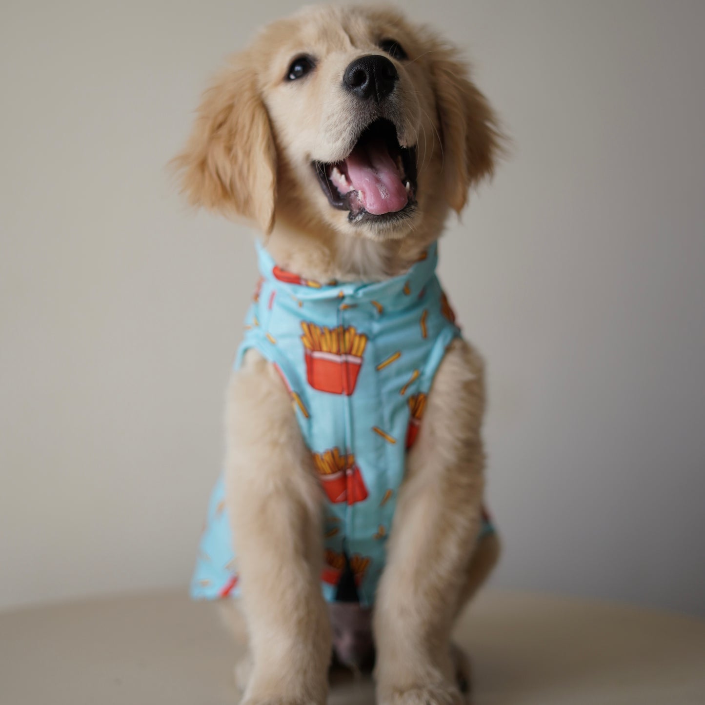 Fries Over Guys Sando | Blue | For Dogs | Pawgy Pets
