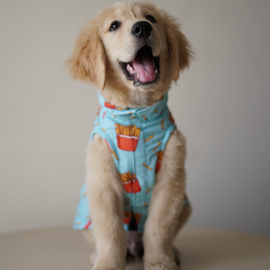 Pawgy Pets Fries over guys Sando Blue  for Dogs