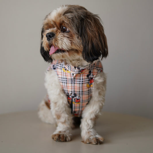 Pawgy Pets Mickey Check sando Beige  for Dogs
