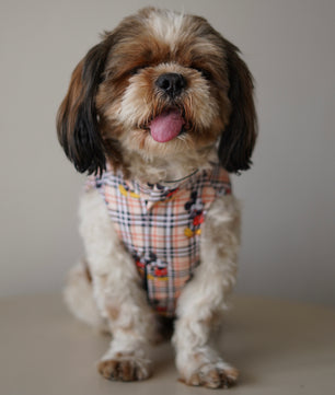 Pawgy Pets Mickey Check sando Beige  for Dogs
