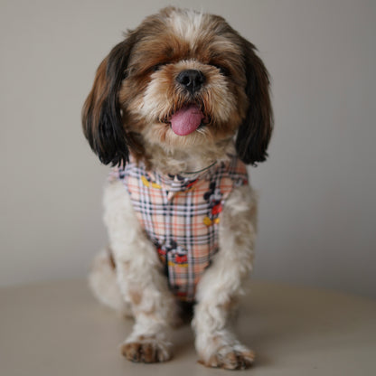 Mickey Check Sando | Beige | For Dogs | Pawgy Pets