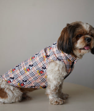 Pawgy Pets Mickey Check sando Beige  for Dogs