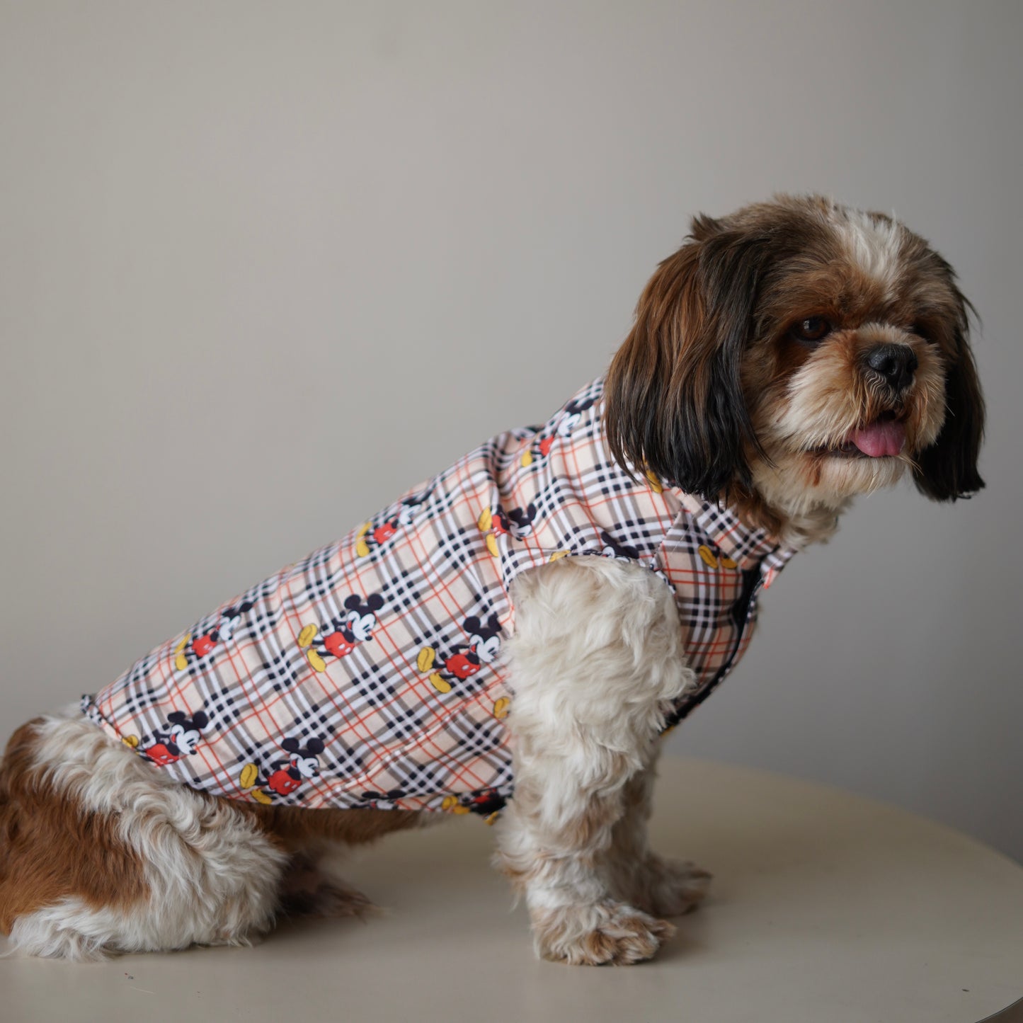 Mickey Check Sando | Beige | For Dogs | Pawgy Pets
