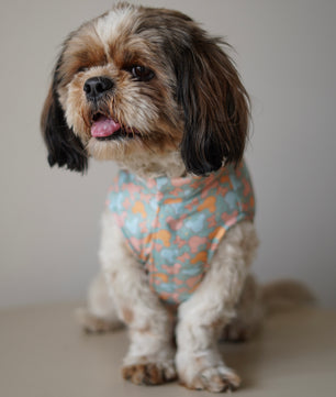 Pawgy Pets Mickey Overloaded sando Pastel Green for Dogs