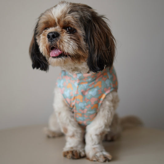 Pawgy Pets Mickey Overloaded sando Pastel Green for Dogs