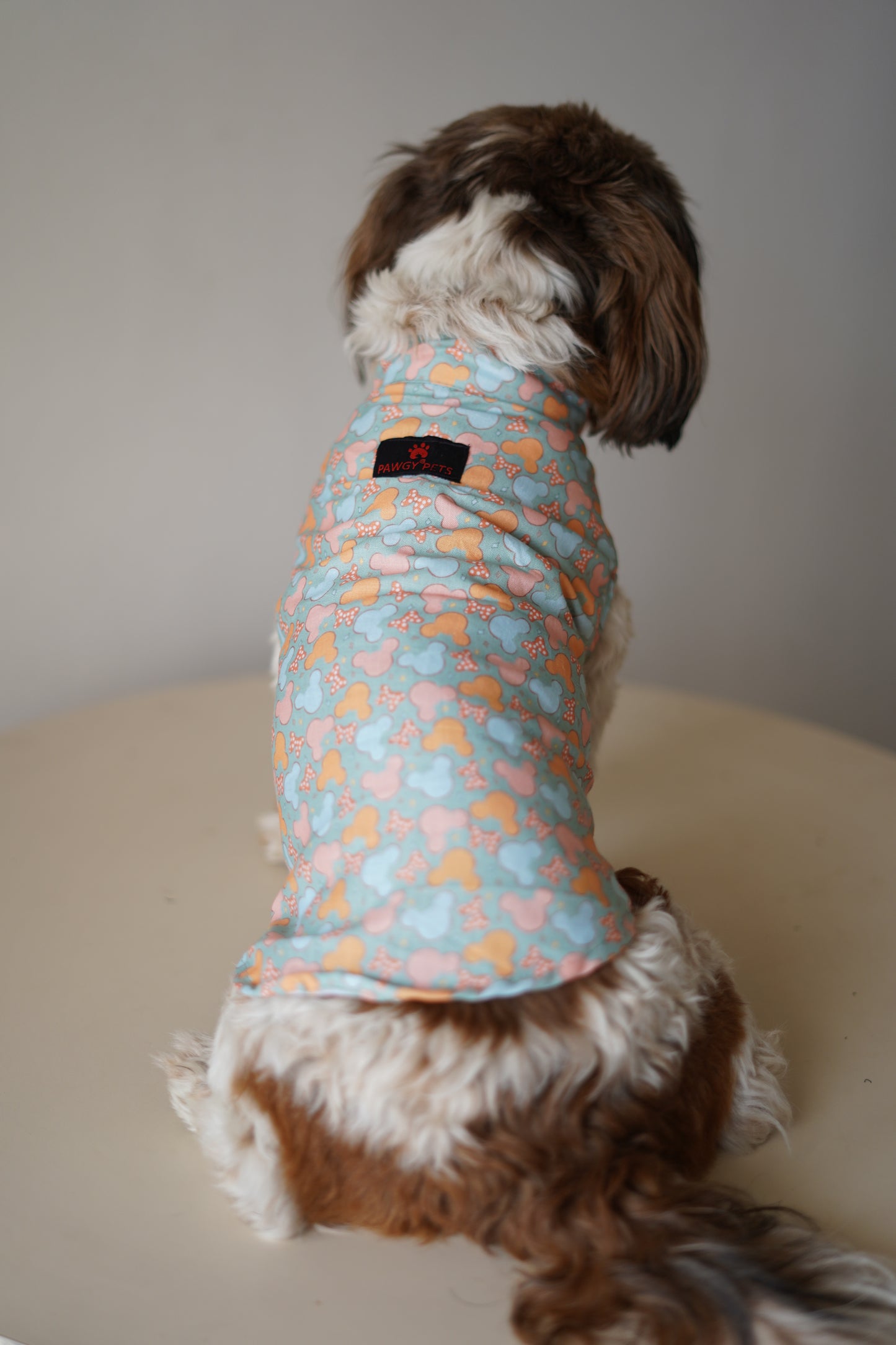 Mickey Overloaded Sando | Pastel Green | For Dogs | Pawgy Pets