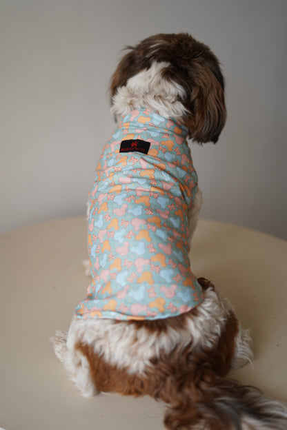 Mickey Overloaded Sando | Pastel Green | For Dogs | Pawgy Pets