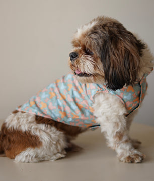 Pawgy Pets Mickey Overloaded sando Pastel Green for Dogs