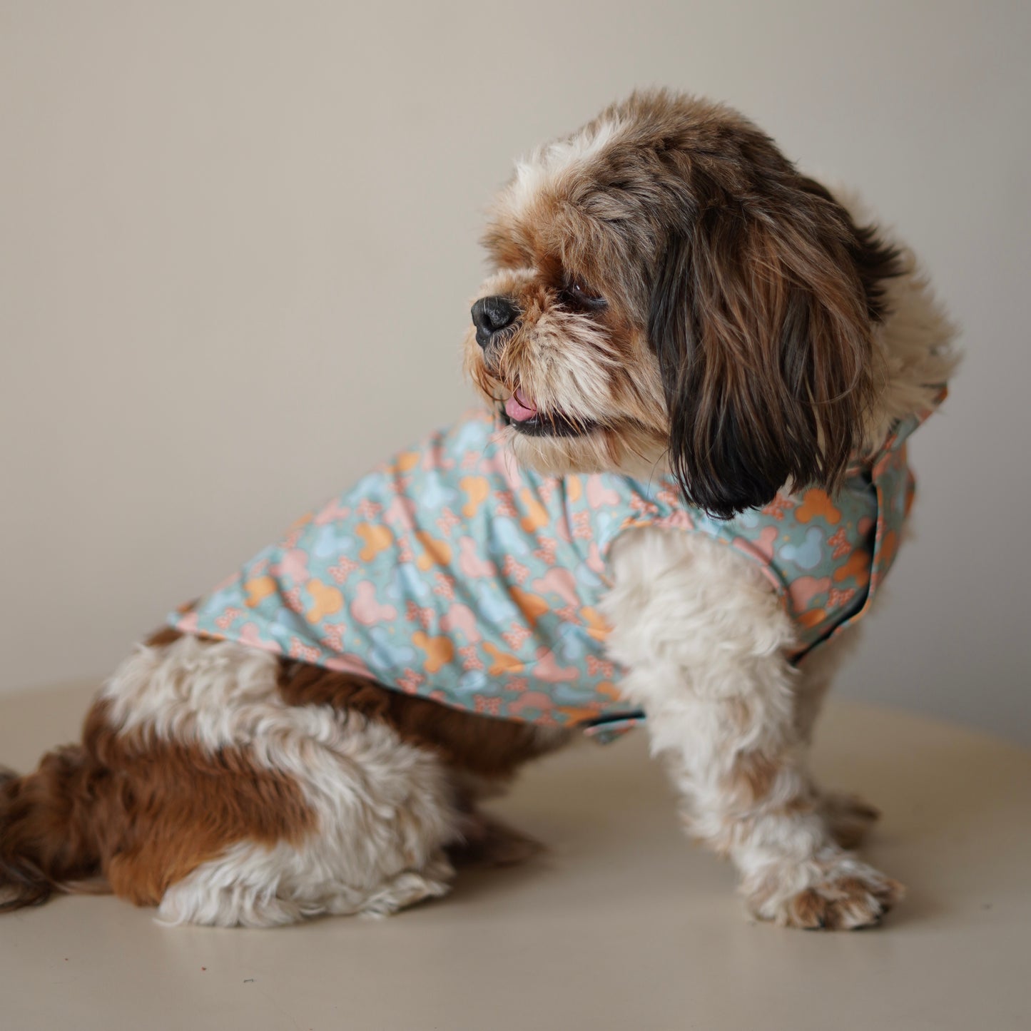 Mickey Overloaded Sando | Pastel Green | For Dogs | Pawgy Pets
