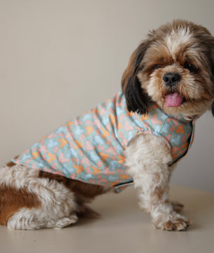 Pawgy Pets Mickey Overloaded sando Pastel Green for Dogs
