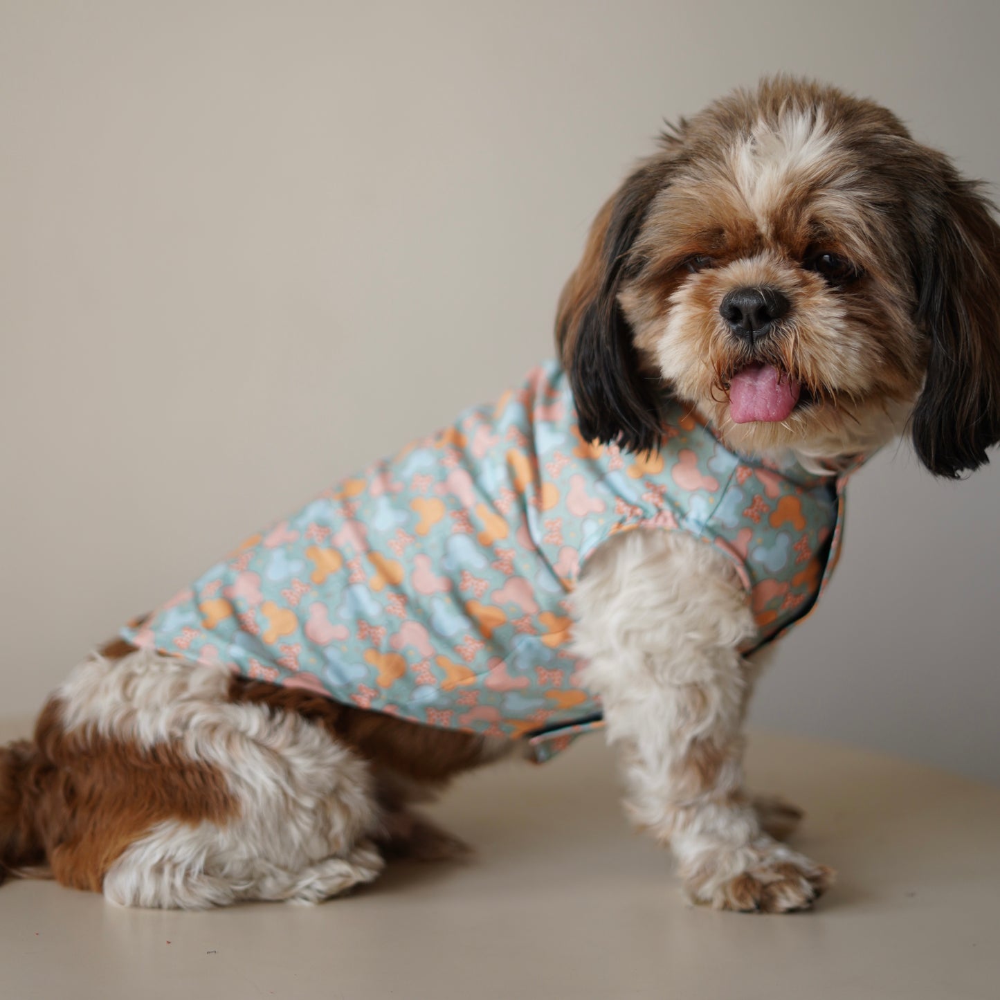 Mickey Overloaded Sando | Pastel Green | For Dogs | Pawgy Pets