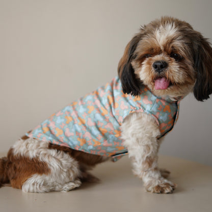 Mickey Overloaded Sando | Pastel Green | For Dogs | Pawgy Pets
