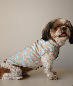 Pawgy Pets Mickey Overloaded sando Pastel Green for Dogs