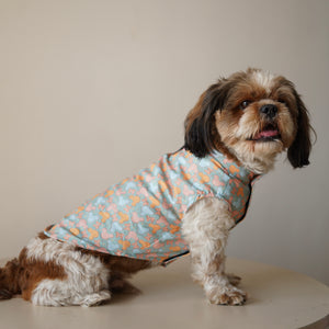 Mickey Overloaded Sando | Pastel Green | For Dogs | Pawgy Pets