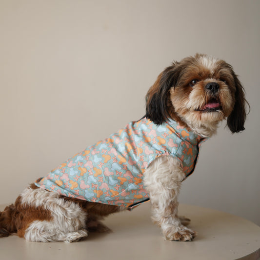 Pawgy Pets Mickey Overloaded sando Pastel Green for Dogs