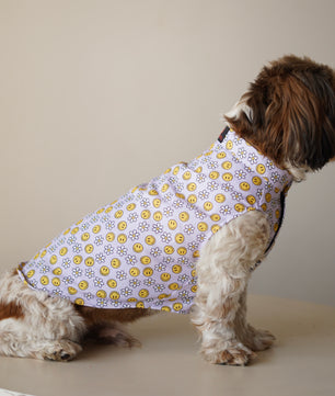 Pawgy Pets Smiley o clock sando lavender for Dogs