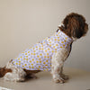 Smiley O'Clock Sando | Lavender | For Dogs | Pawgy Pets