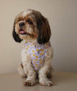 Pawgy Pets Smiley o clock sando lavender for Dogs