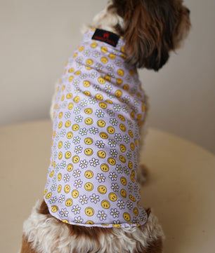 Pawgy Pets Smiley o clock sando lavender for Dogs