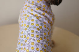 Pawgy Pets Smiley o clock sando lavender for Dogs